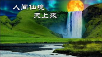 亦舒小说里写苏更生的书是那一本？不是《玫瑰的故事》