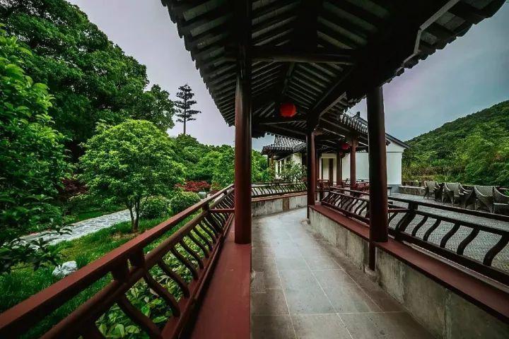 解惑蜗牛——鲫鱼汤怎么熬问答平台