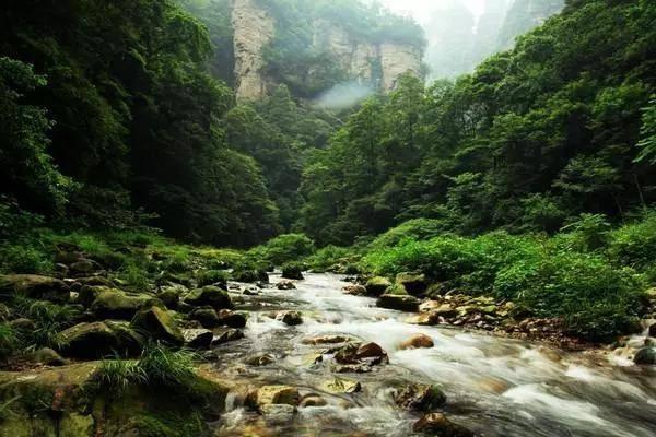 口袋觉醒免费后台