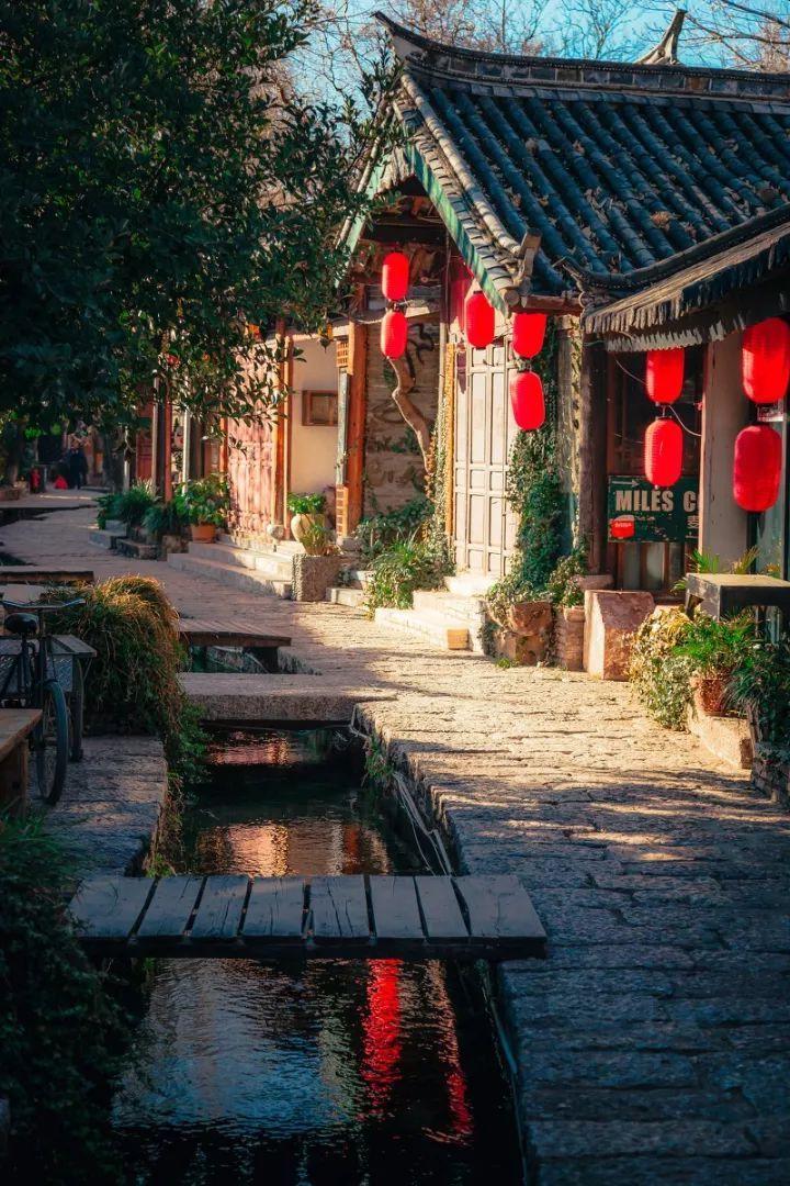 深入探索知识星球平台,畅享少食多餐真的能减肥吗?乐园